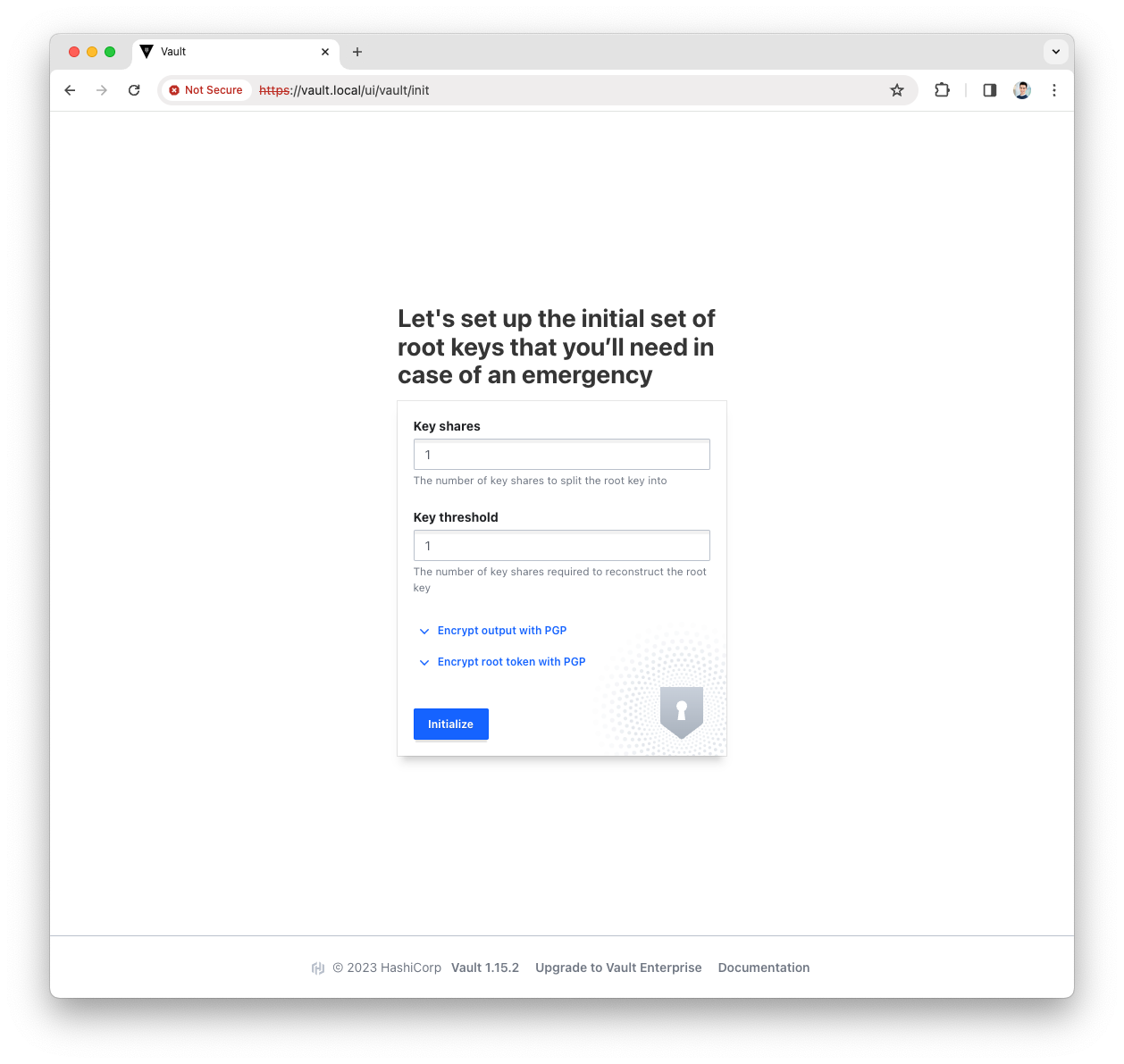Vault UI init screen with values