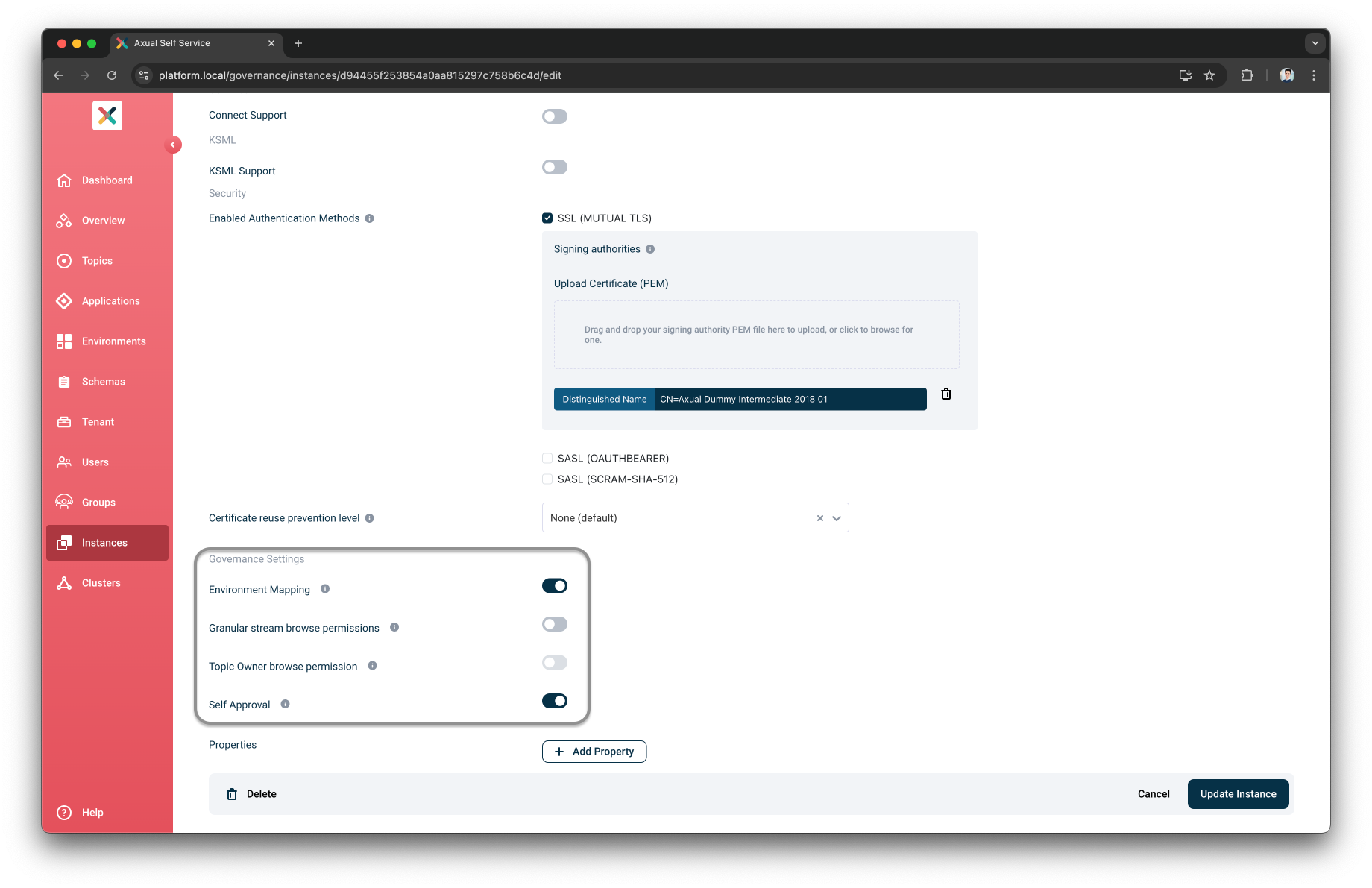 Instance Governance Setting Section