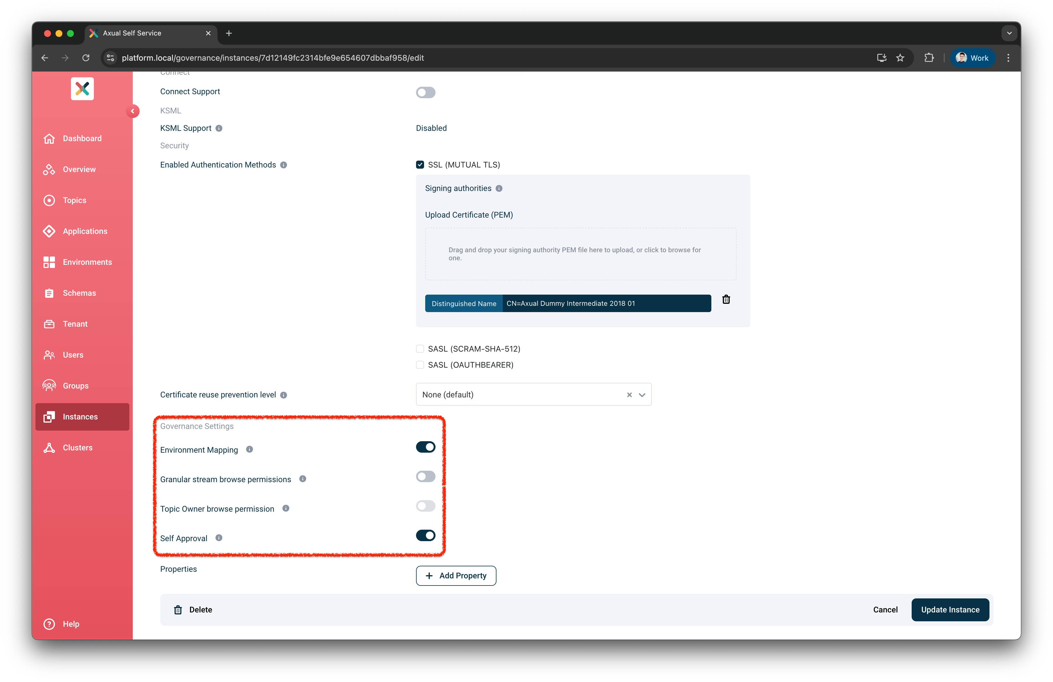Instance Governance Setting Section