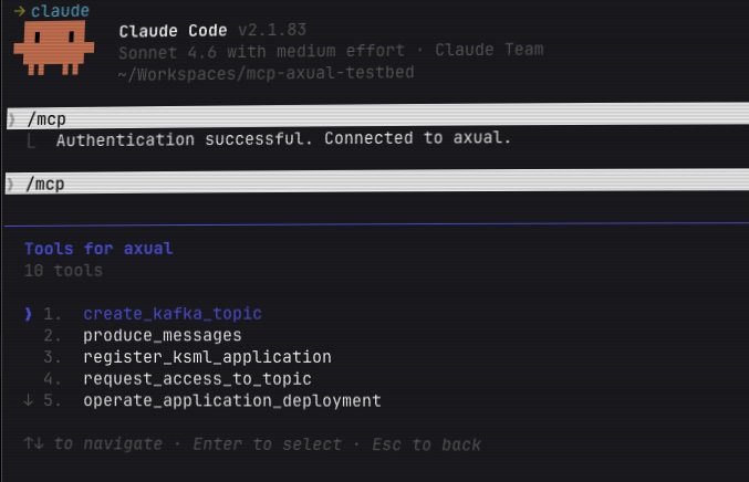 axual mcp view tools