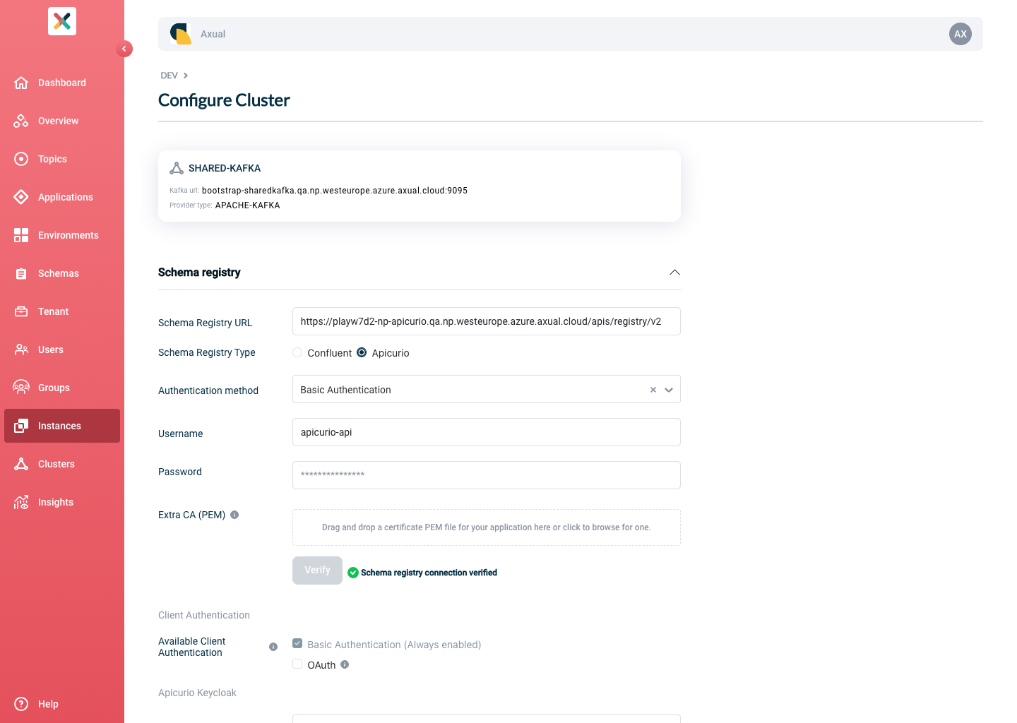 Self-Service Add Apicurio Schema Registry Details page