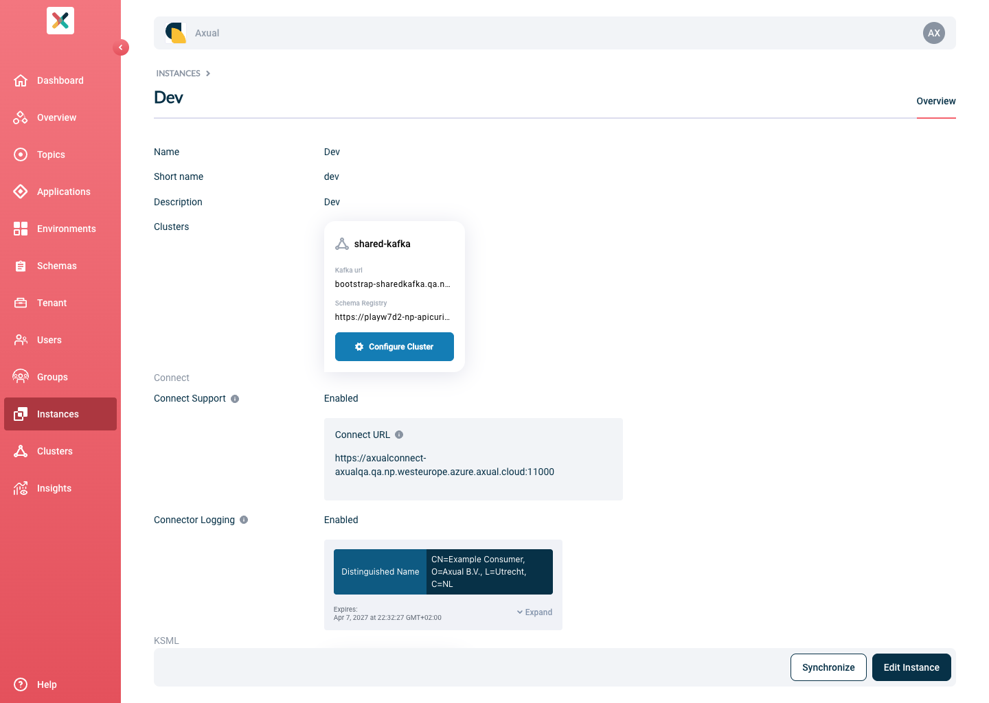 Self-Service Add Apicurio Schema Registry Details page