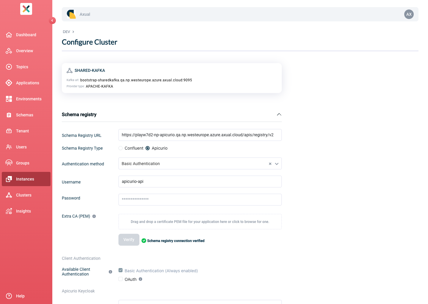 Self-Service Add Apicurio Schema Registry Details page