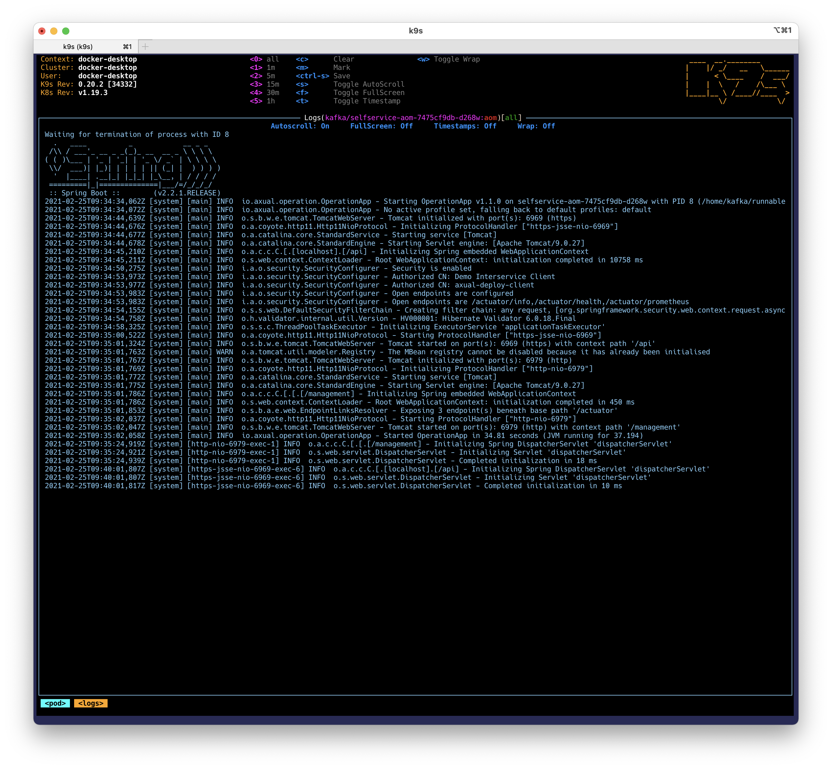 K9s container’s logs