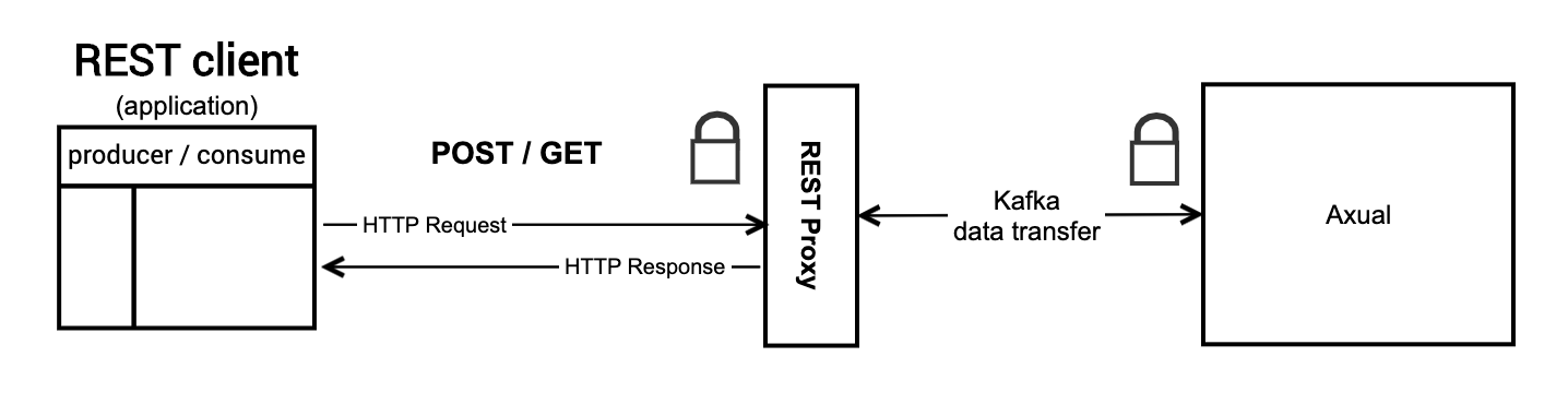 Rest Proxy Overview